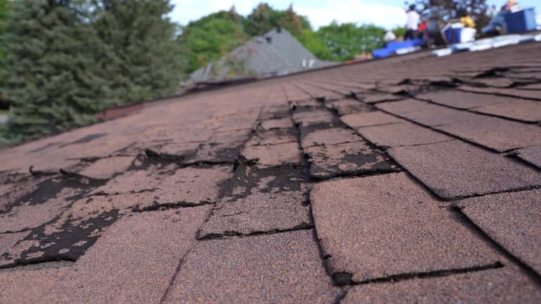 Reliable Oak Park, CA Roofing Services Solutions