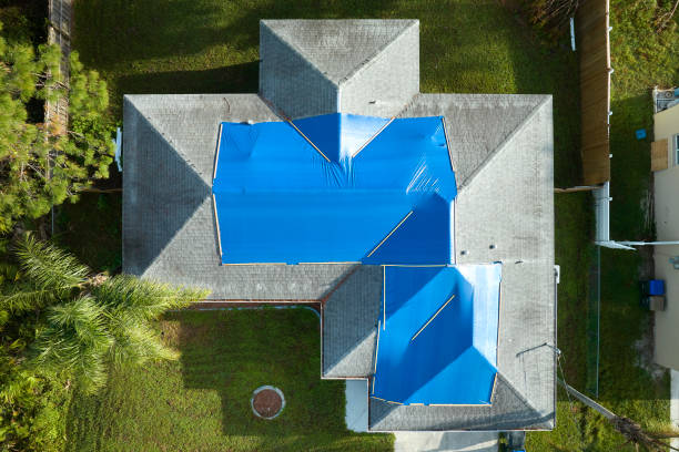 Best Roof Coating and Sealing  in Oak Park, CA