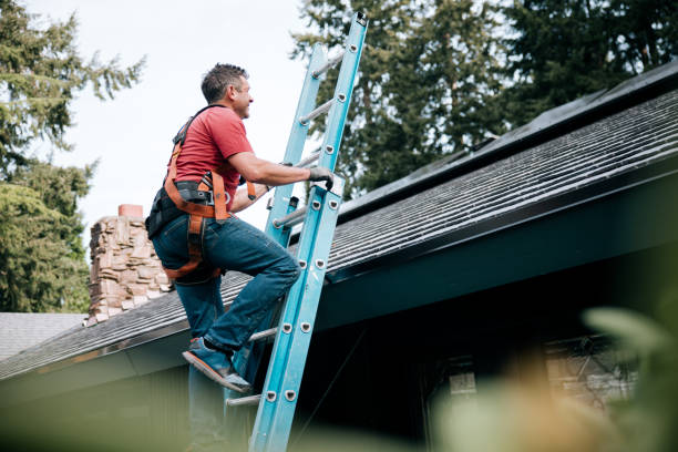 Best Roof Ventilation Installation  in Oak Park, CA