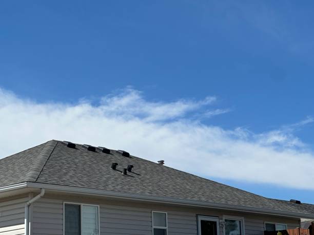Best Green or Eco-Friendly Roofing Solutions  in Oak Park, CA